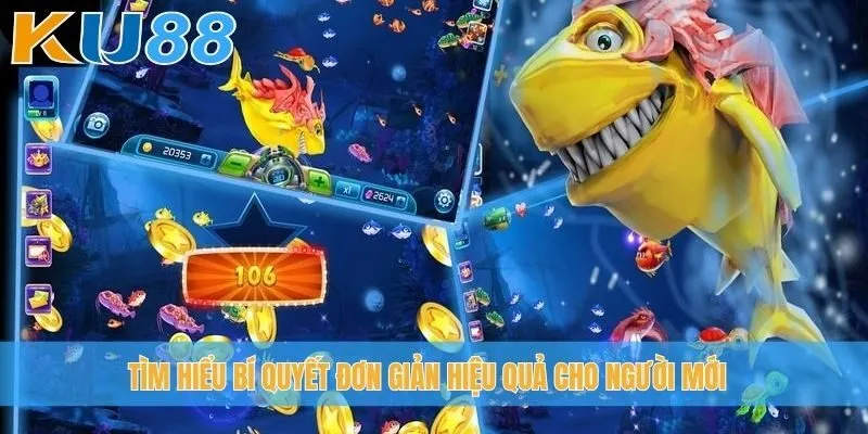 Tìm hiểu bí quyết đơn giản hiệu quả cho người mới