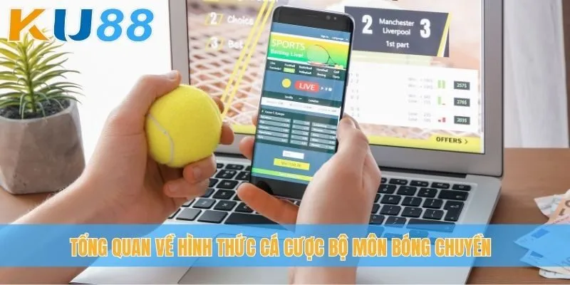 Tổng quan về hình thức cá cược bộ môn bóng chuyền