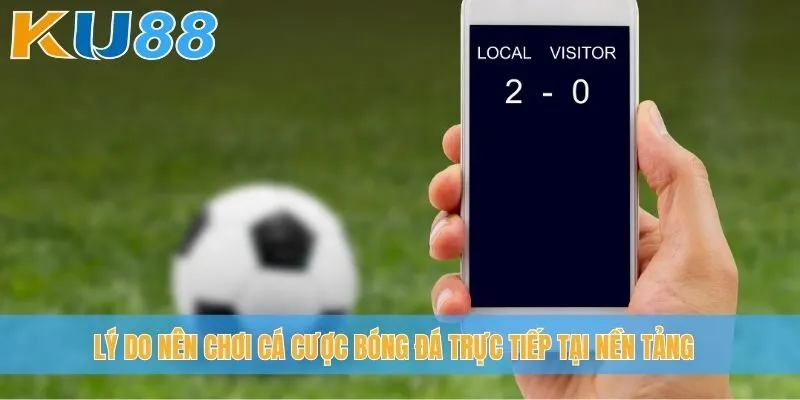 Lý do nên chơi cá cược bóng đá trực tiếp tại nền tảng
