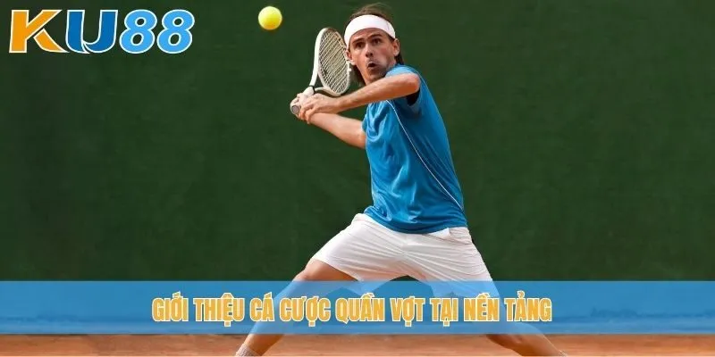 Giới thiệu cá cược quần vợt tại nền tảng