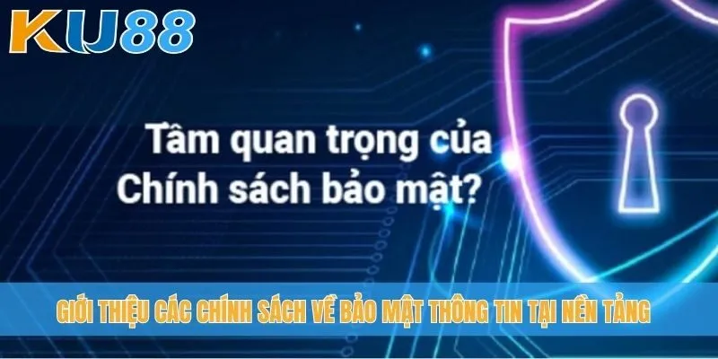 Giới thiệu các chính sách về bảo mật thông tin tại nền tảng