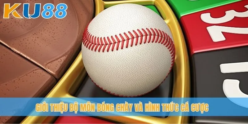 Giới thiệu bộ môn bóng chày và hình thức cá cược