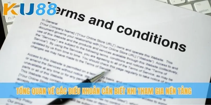 Tổng quan về các điều khoản cần biết khi tham gia nền tảng