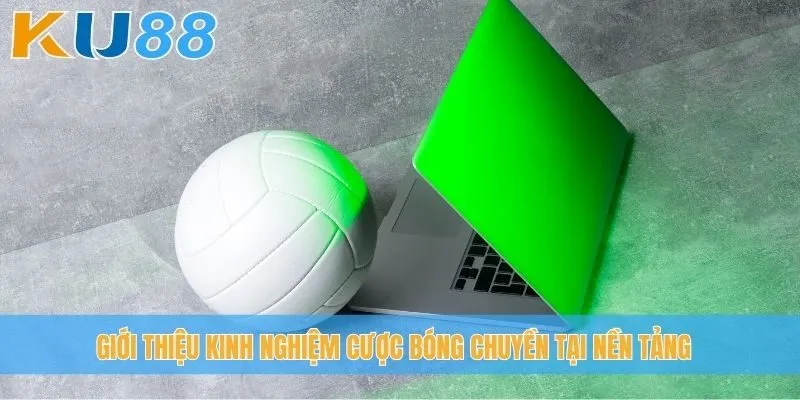 Giới thiệu kinh nghiệm cược bóng chuyền tại nền tảng