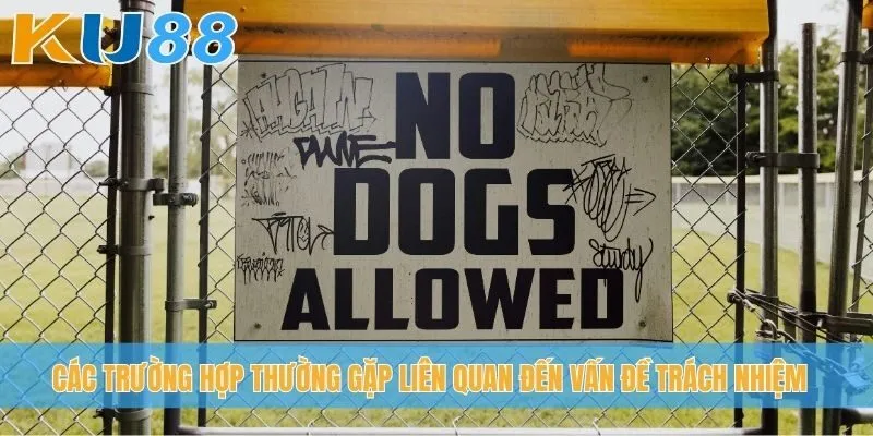 Các trường hợp thường gặp liên quan đến vấn đề trách nhiệm