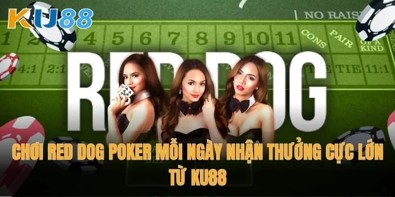 Chơi Red Dog Poker mỗi ngày nhận thưởng cực lớn từ Ku88