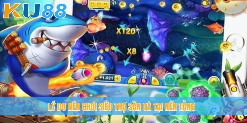 Lý do nên chơi Siêu Thợ Săn Cá tại nền tảng