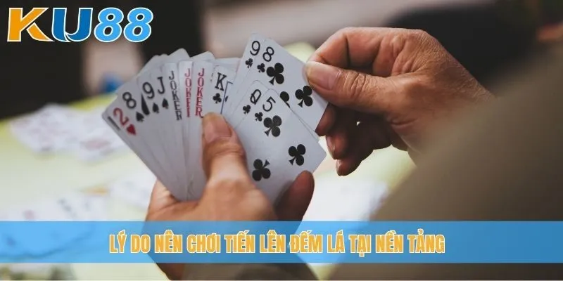 Lý do nên chơi Tiến lên đếm lá tại nền tảng